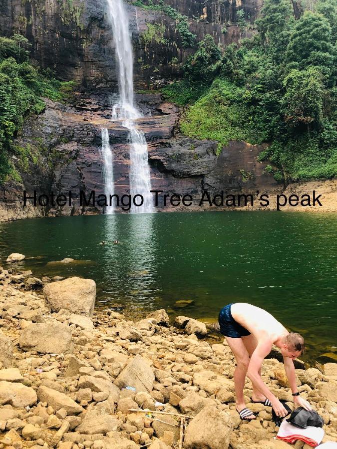 Hotel Mango Tree Nearest Adam'S Peak Nallathanniya Exterior foto