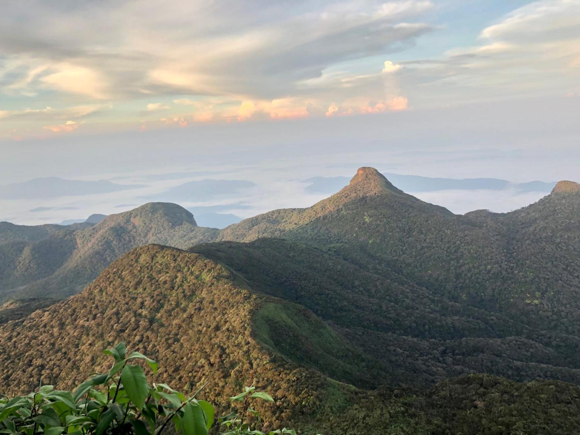 Hotel Mango Tree Nearest Adam'S Peak Nallathanniya Exterior foto